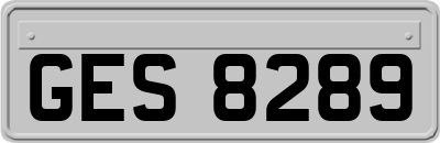 GES8289