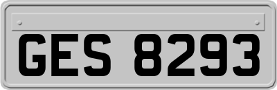 GES8293