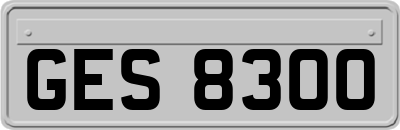 GES8300