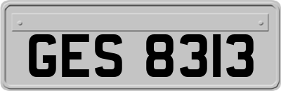 GES8313