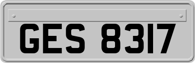 GES8317