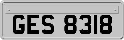 GES8318
