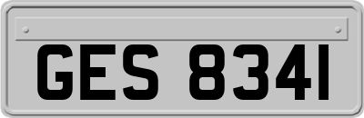 GES8341