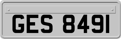 GES8491