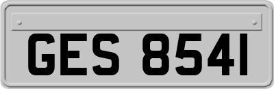 GES8541