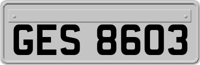 GES8603