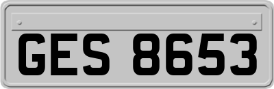 GES8653