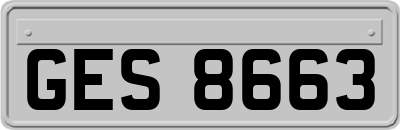 GES8663