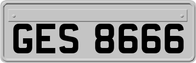 GES8666