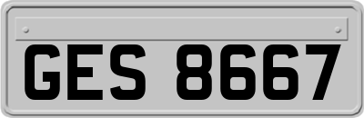 GES8667