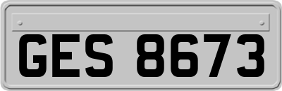 GES8673
