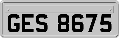 GES8675