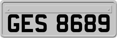 GES8689