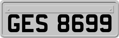 GES8699