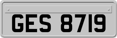 GES8719