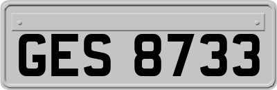 GES8733