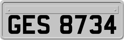 GES8734