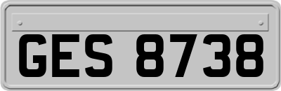GES8738