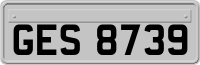 GES8739