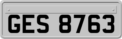 GES8763