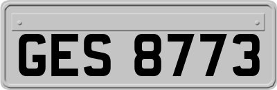 GES8773