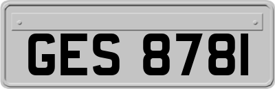 GES8781