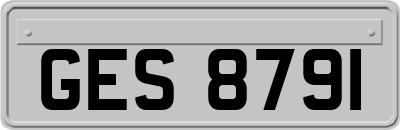 GES8791