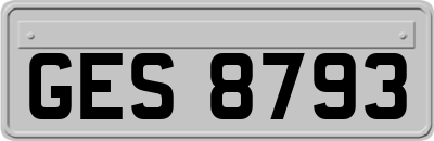 GES8793