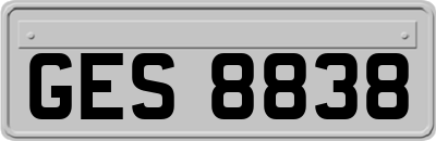 GES8838