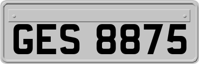 GES8875