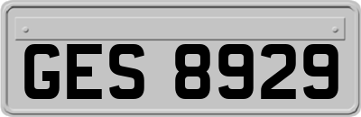 GES8929
