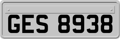 GES8938