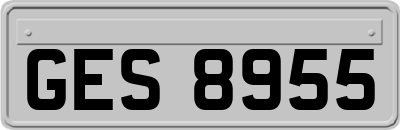 GES8955