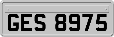 GES8975