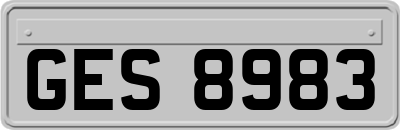 GES8983
