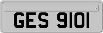 GES9101