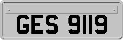 GES9119