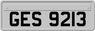 GES9213