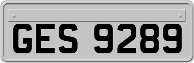 GES9289
