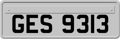 GES9313