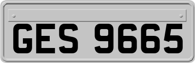 GES9665