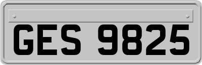 GES9825
