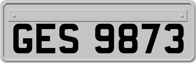 GES9873