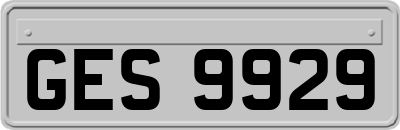GES9929