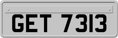 GET7313