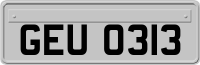 GEU0313
