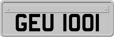 GEU1001