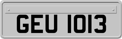 GEU1013