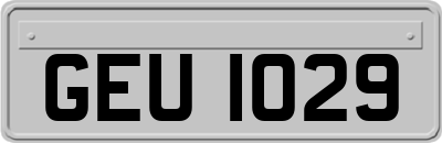 GEU1029