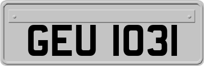 GEU1031